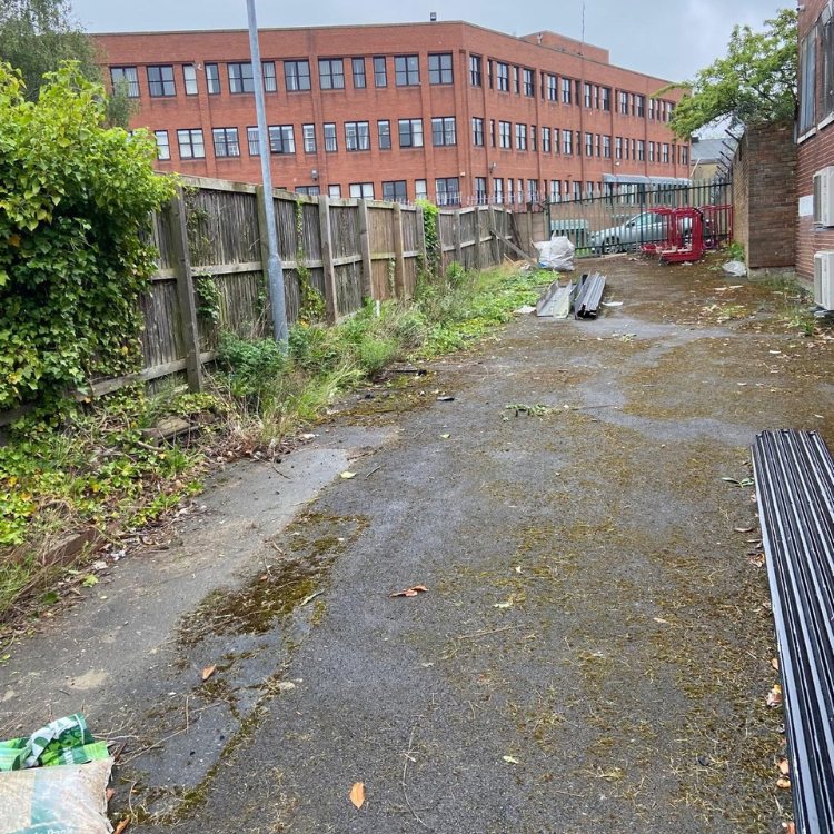 Tarmac service yard behind an office building before cleaning, green with moss and weeds along the fence
