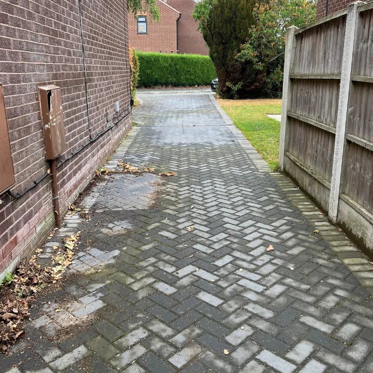 Block paved side path before cleaning, covered in moss and leaf litter